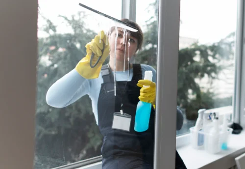 Nettoyage de vitres intérieures et extérieures au Mayet-d'École
